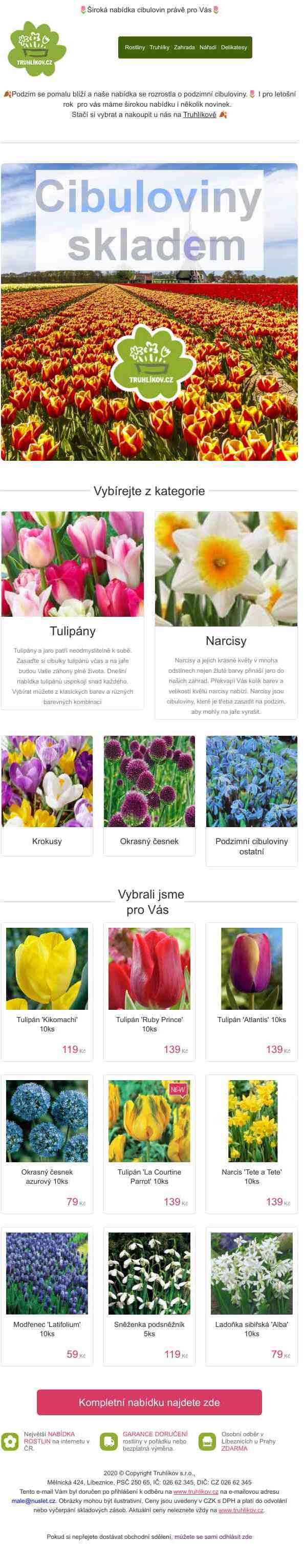 🌷Široká nabídka cibulovin právě pro Vás🌷