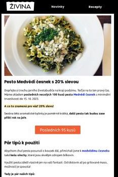 Posledních 100 kusů pesta medvědí česnek s 20% slevou