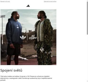 adidas Originals x 100 Thieves