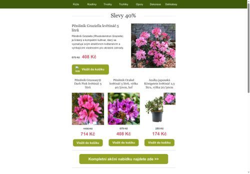 Slevy 40% na rododendrony a azalky