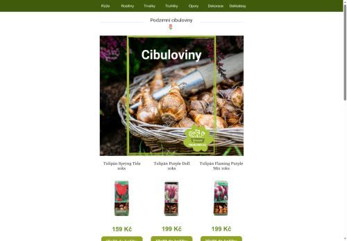 🌷 Podzimní cibuloviny 🌷