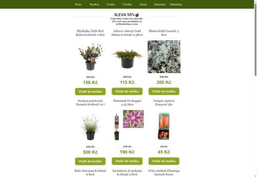 🍂 Podzimní SLEVY 50% - Venkovní rostliny