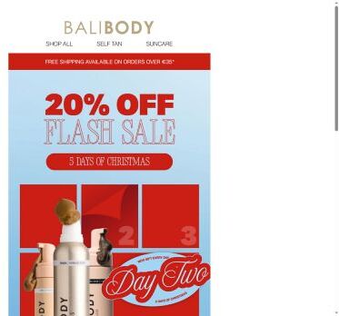 DAY 2 🎄 20% off flash sale