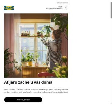 Přivolejte si jaro domů už teď🪴🌷