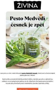 🐻 Opět Skladem pesto Medvědí česnek